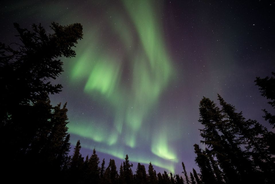 Healy: Denali Aurora Quest - Key Features and Highlights
