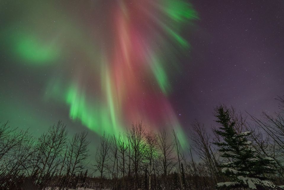 Healy: Denali Aurora Quest - Scheduling and Preparation