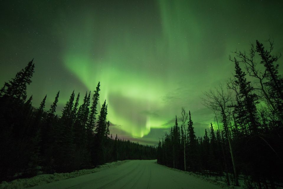 Healy: Denali Aurora Quest - Chasing the Northern Lights