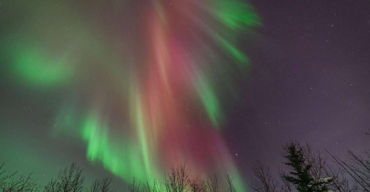 Healy: Denali Aurora Quest - Recap