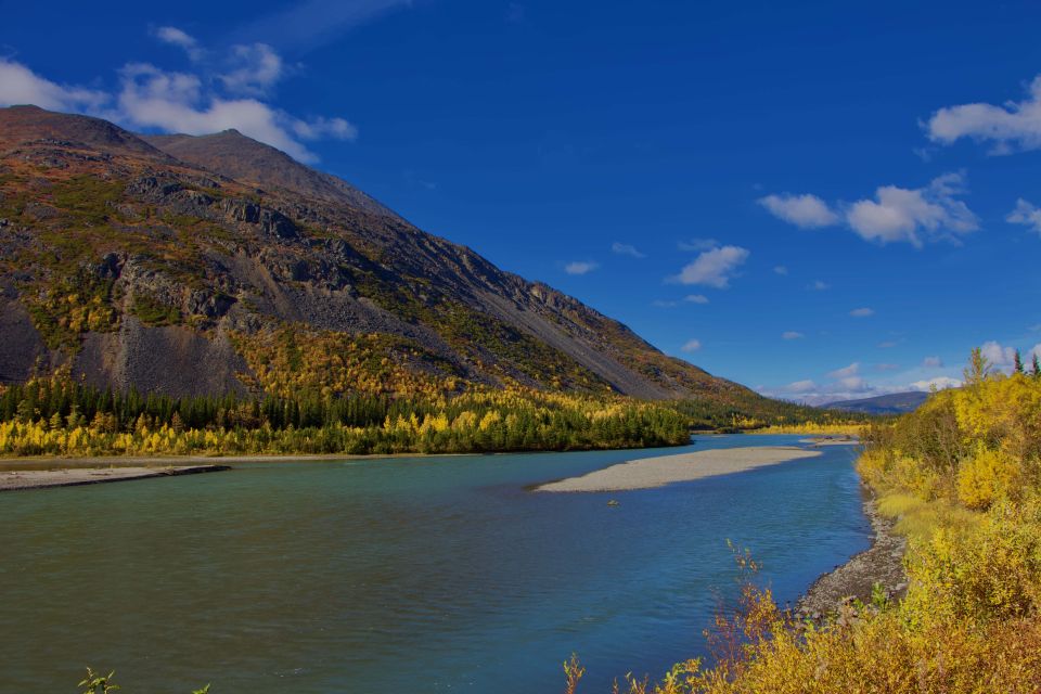 Healy: Denali National Park Self-Guided Jeep Adventure - Scenic Stops and Photo Ops