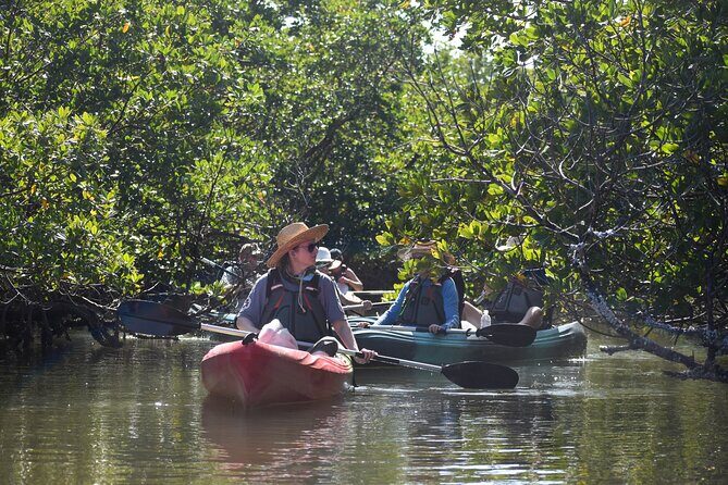 Heart of Rookery Bay Kayak Tour - Who Should Consider This Tour?