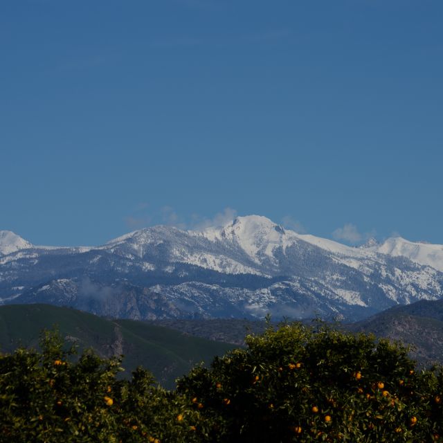 Heart of the Giant Forest Hike: Congress Trail& Sherman Tree - Highlights and Description