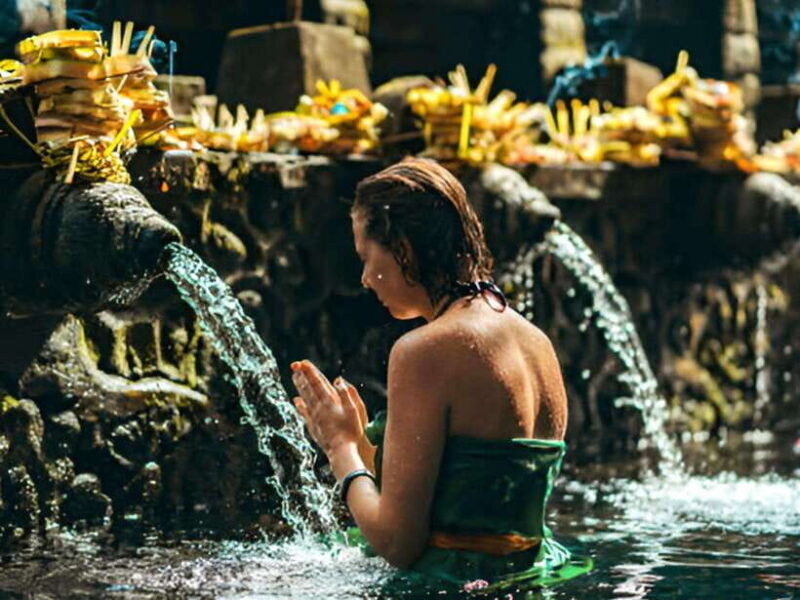 Heart of Ubud: Culture, Nature & Scenic Wonders - Discovering Ubud’s Cultural and Market Scene