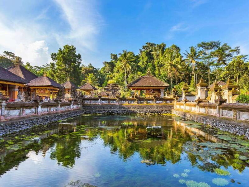 Heart of Ubud: Culture, Nature & Scenic Wonders - Practical Details and Value