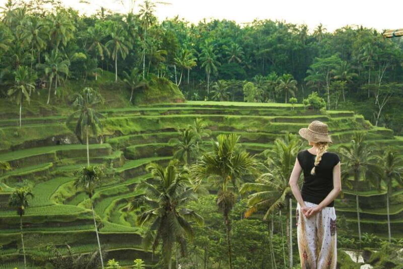 Heart of Ubud: Culture, Nature & Scenic Wonders - Final Thoughts