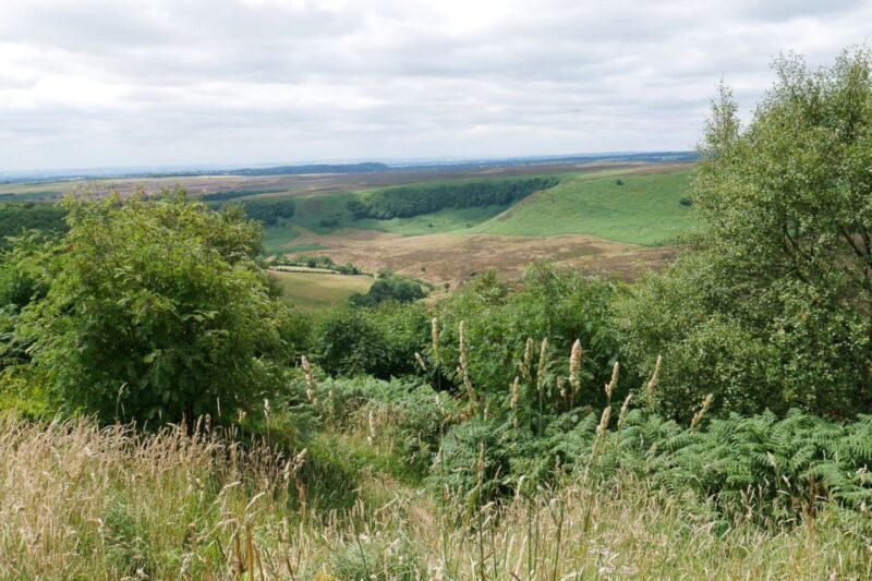 Heartbeat TV Locations Tour of Yorkshire - Inclusions and Exclusions