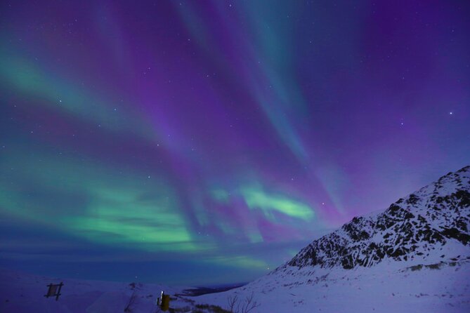 Heated and Enclosed ATV Tour in Alaska. Open All Year Round - Health and Accessibility
