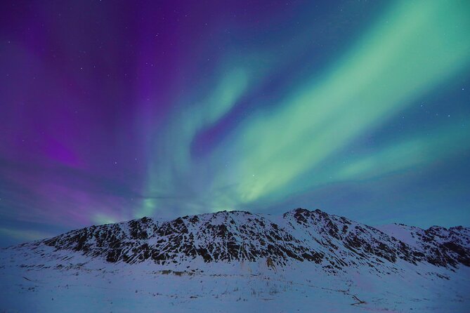 Heated and Enclosed ATV Tour in Alaska. Open All Year Round - Customer Reviews