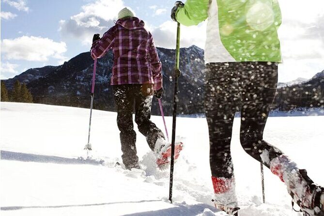 Heavenly Tahoe Snow Shoe Tour With A Local Guide - Key Points