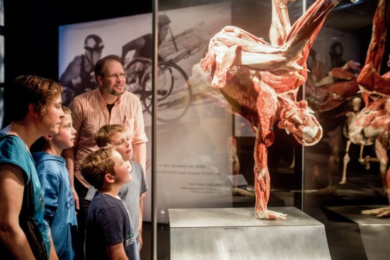 Heidelberg: BODY WORLDS Museum Entry Ticket - The Value of the Experience