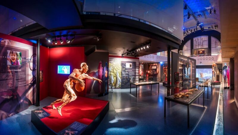 Heidelberg: BODY WORLDS Museum Entry Ticket - Final Thoughts: Is It Worth It?