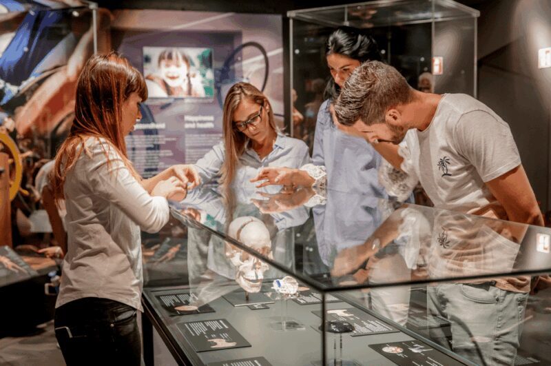 Heidelberg: BODY WORLDS Museum Entry Ticket - What is the Heidelberg BODY WORLDS Museum?
