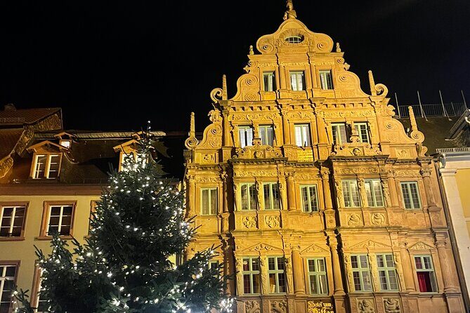 Heidelberg City Tour and Castle Tour combined - Who Should Consider This Tour?