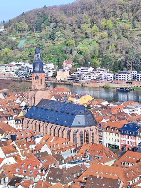 Heidelberg: Private Walking Tour with Local Guide - The Walking Experience