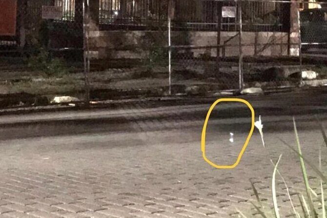 Helen Haunts, Murder, Mystery Tour With Paranormal Investigation - Who Should Consider This Tour?