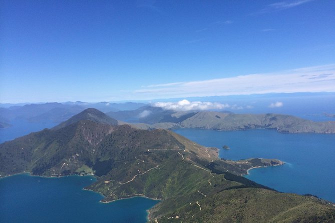 Heli-Fish Marlborough Sounds DUrville Island Indulgence - Catch and Dine - Safety Measures During the Tour