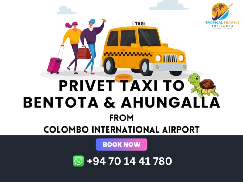 Hello Taxi From Colombo Airport To Ahungalle & Benthota - Booking and Flexibility