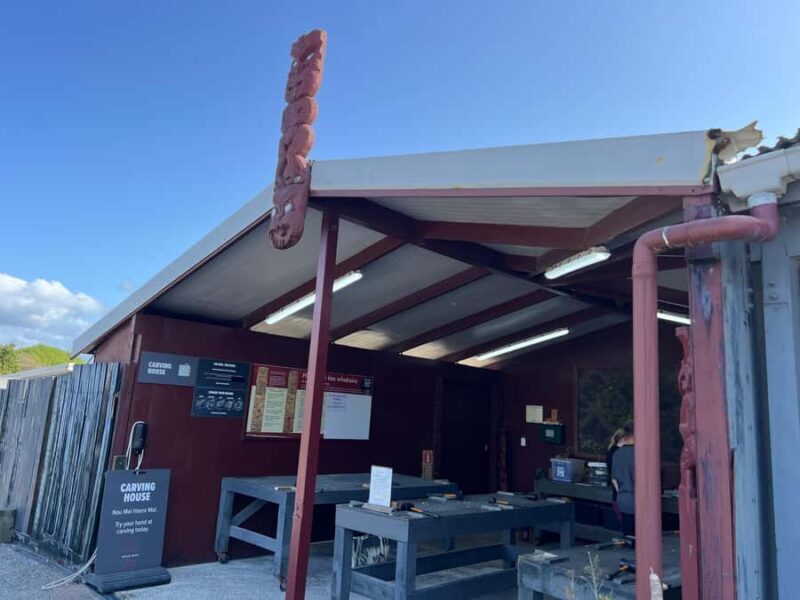 HELL'S GATE Mud Spa, Rotorua - Group Day Tour Ex Auckland - Final Thoughts