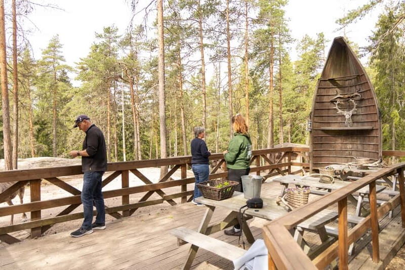 Helsinki: Buggy Ride, Reindeer Farm Visit, and Picnic - What’s Included and Practicalities