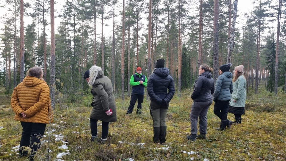 Helsinki: Guided Nature Experience with Campfire and Meal - Exploring the Finnish Wilderness Near Helsinki