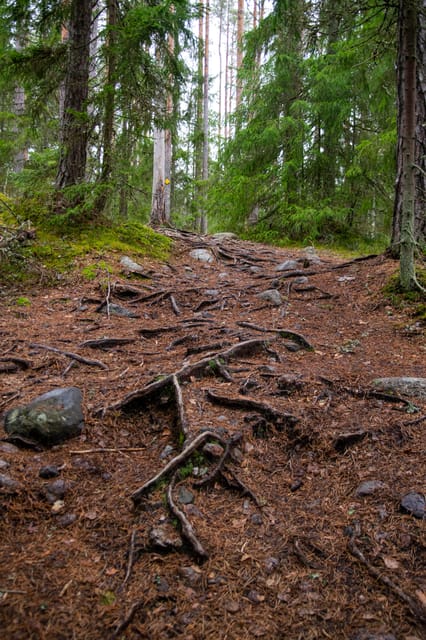 Helsinki: Nuuksio National park hiking with campfire lunch - Practical Tips for Travelers