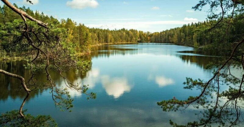 Helsinki: Nuuksio National park hiking with campfire lunch - Who Will Love This Tour?