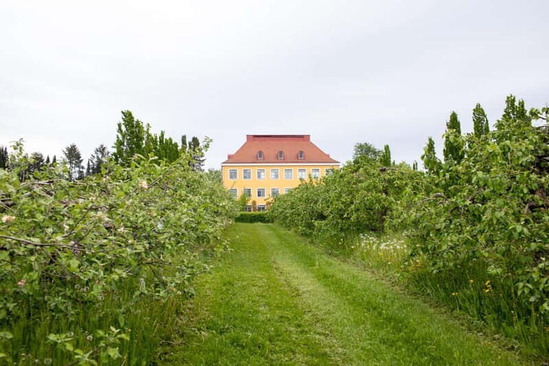 Helsinki: Private Visit to Finnish Berry Winery with Tasting - How It Compares to Other Experiences