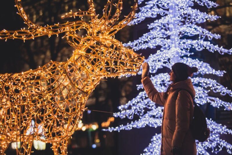 Helsinki's Christmas Wonders Tour - FAQ