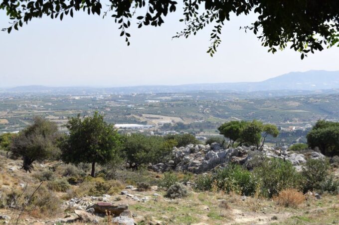 Heraklion: Authentic Greek Food Cooking Class - Booking Information and Tips
