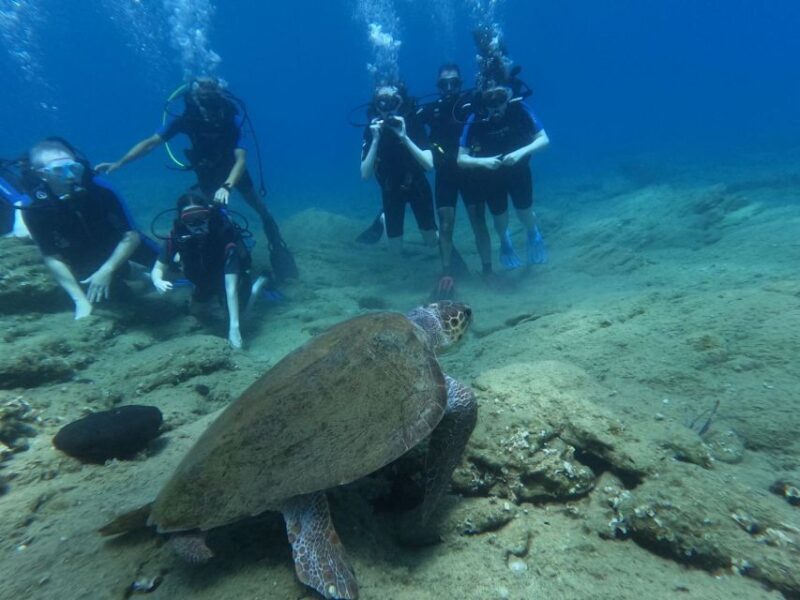Heraklion: Beginner's intro dive w/2 Dives with transfer. - An Honest Look at the Experience