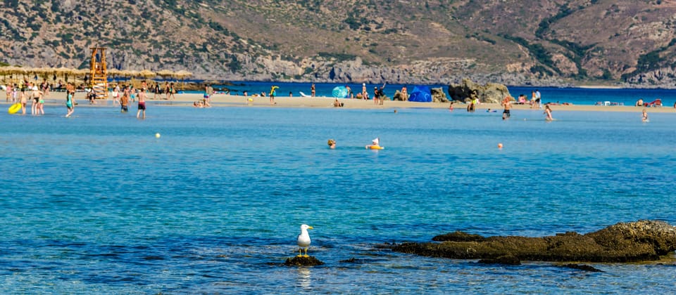 Heraklion: Elafonisi Beach: Discover the Pink Sand Paradise - Who Will Love This Tour?