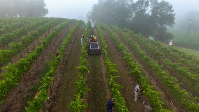 Heraklion: Half Day Semi Private Wine Tour With Tastings - Booking Your Tour