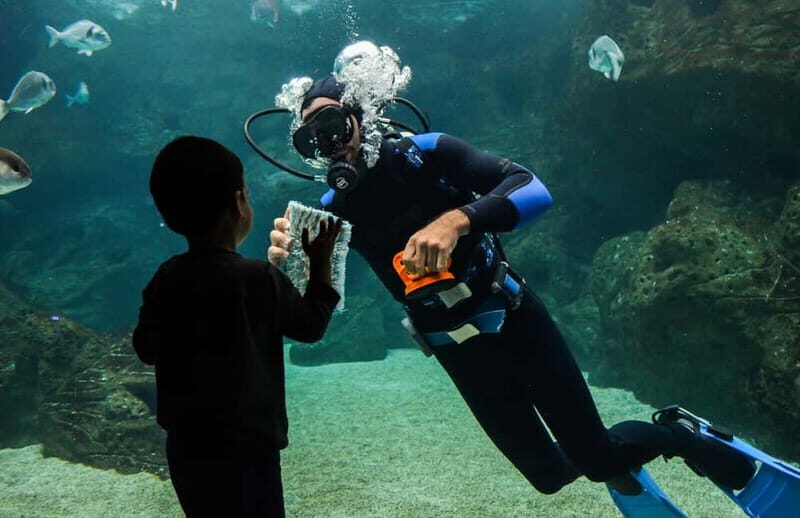 Heraklion: Heraklion Market & CretAquarium *SKIP The Line - Who Should Consider This Tour?