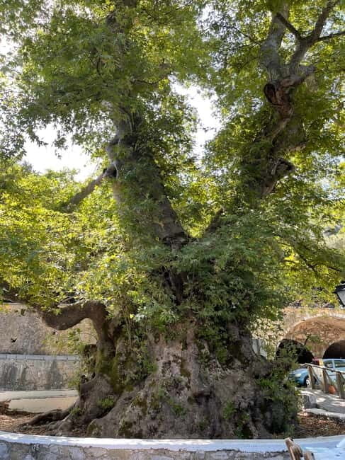 Heraklion: Knossos, Zeus, Villages & Olive Oil Factory Tour - Practical Details