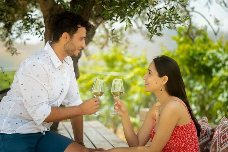 Heraklion: Olive oil and Wine Tour with Lunch - First Stop: Olive Oil Farm in Skalani
