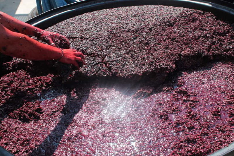 Heraklion: Olive oil and Wine Tour with Lunch - Value for Money