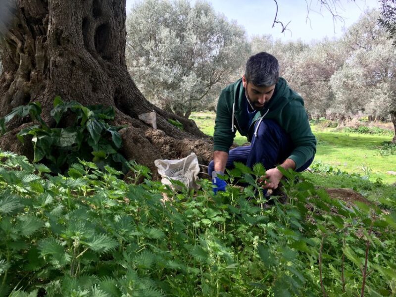 Heraklion: Private Cooking Class & Dinner at a Village House - Dinner Setting