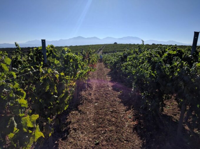 Heraklion: Private Wine Tasting & Lunch at Lyrarakis Winery - Frequently Asked Questions
