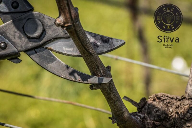 Heraklion: Private Wine Tour of Dafnes Valey - The Scenic Journey