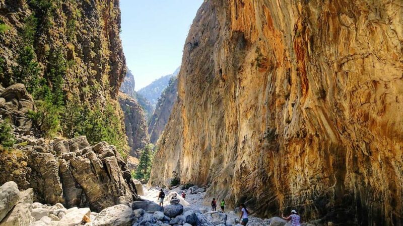 Heraklion: Samaria Gorge Guided Hiking Day Tour - Flora and Fauna