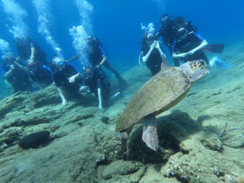 Heraklion: Scuba Diving Experience for Beginners - Who Will Love This Tour?