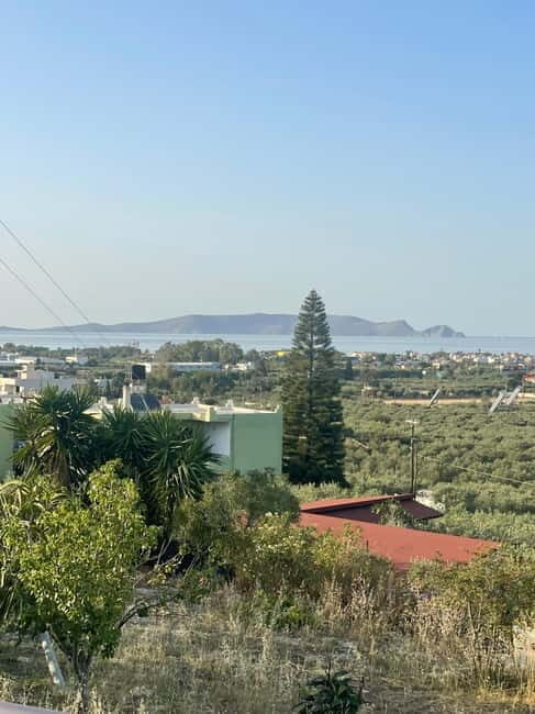 Heraklion: Sunset BBQ in the Olive Grove - Practical Tips for Travelers