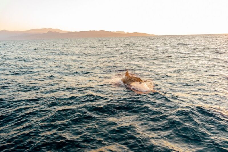 Heraklion: Sunset Private Sailing Trip to Dia Island - Inclusions