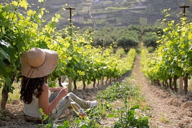 HERAKLION: Wine tasting at Douloufakis Vineyards ARISMARI - A Detailed Look at the Experience