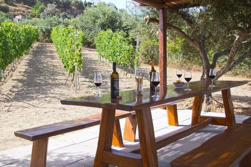 HERAKLION: Wine tasting at Douloufakis Vineyards ARISMARI - Practical Tips for Visitors