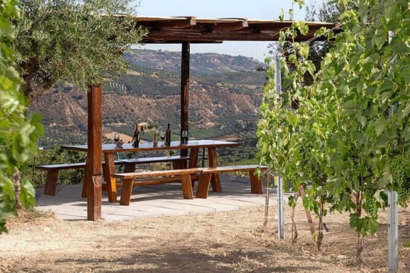 HERAKLION: Wine tasting at Douloufakis Vineyards ARISMARI - The Sum Up