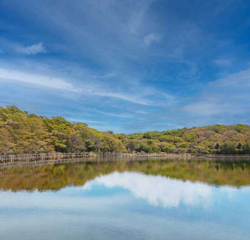 Herb Island : Sanjung Lake : Strawberry : Bidulginang Tour - An In-Depth Look at the Tour Experience