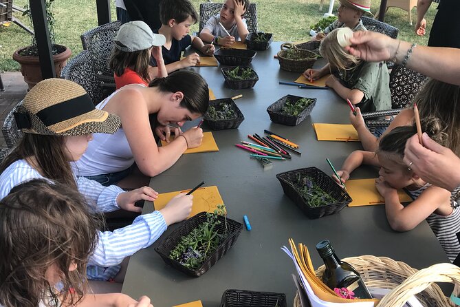 Herbal Laboratory for Children - Key Points