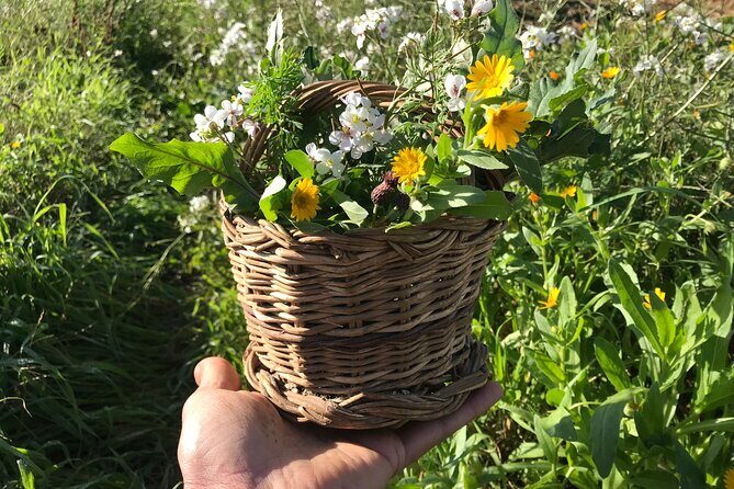HERBS LAB - from plant to glass - Who Would Love This Tour?